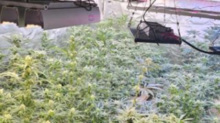 Criminal Group Engaged in Illegal Turnover of Drugs, Laboratory for Making Drugs Disclosed; Four Persons Arrested (photos)